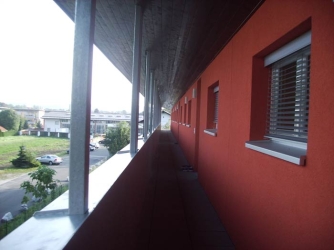 murfeld_03: 