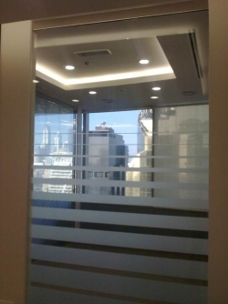 dmcc-13: 